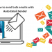 How to send bulk emails with Auto Email Sender